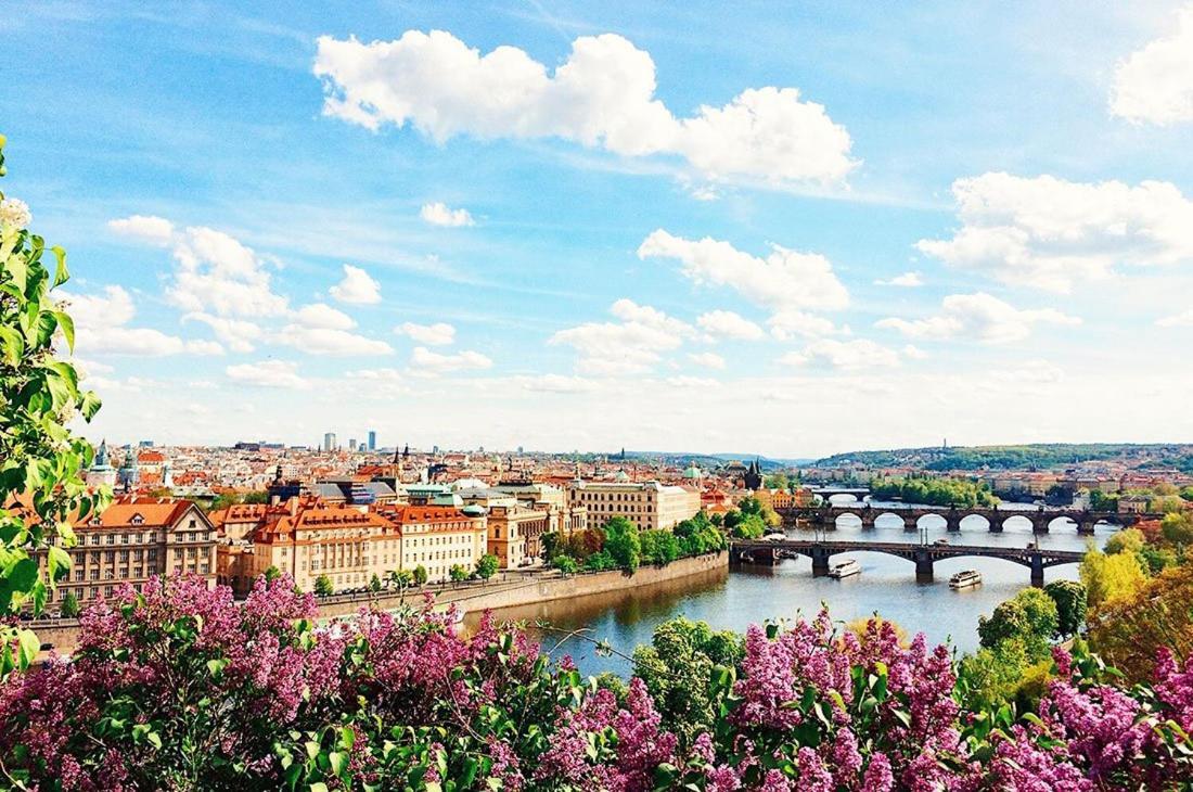 Royal Apartments Prague By Michal&Friends 外观 照片